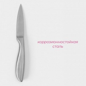 Нож для овощей кухонный Доляна Salomon, длина лезвия 9.5 см, серебристый