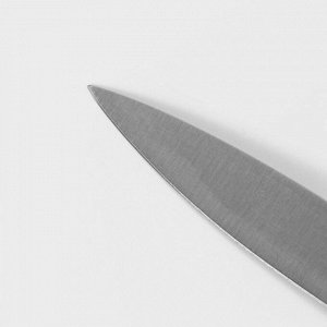 Нож для овощей кухонный Доляна Salomon, длина лезвия 9.5 см, серебристый