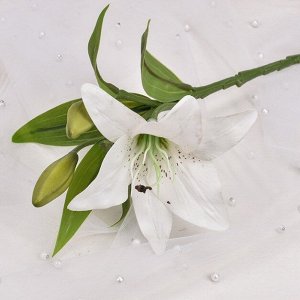 Лилия ветка, 41см