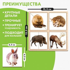 Картинки-половинки «Лесные животные»