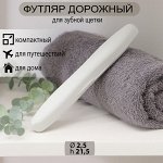 Футляр для зубной щетки, пластик, светло-серый