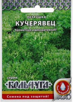 Петрушка кудрявая Кучерявец ЦВ/П (КОЛЬЧУГА) 2гр среднеспелый