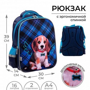 Рюкзак каркасный школьный Calligrata "Собачка", 39 х 30 х 14 см