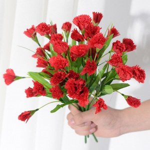 Гвоздика ветка, 15 соцветий, 31см
