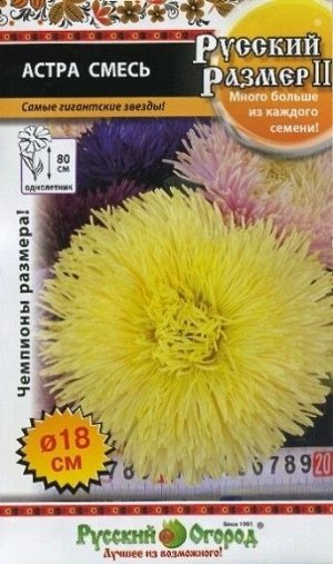 Цветы Астра Русский размер Смесь ЦВ/П (РУССКИЙ ОГОРОД) 0,2гр однолетник 80см