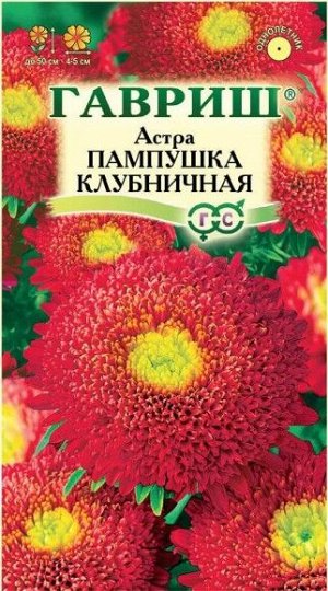 Цветы Астра Пампушка Клубничная ЦВ/П (ГАВРИШ) 0,3гр помпонная однолетник 50см