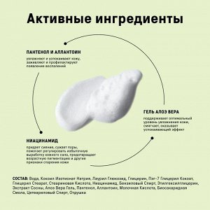 The Act Пенка для умывания (Foam) 100 мл