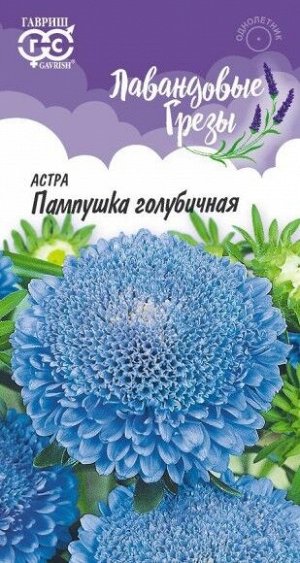 Цветы Астра Пампушка Голубичная ЦВ/П (ГАВРИШ) 0,3гр помпонная однолетник 50см