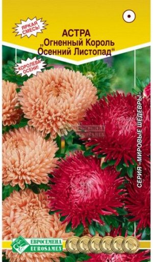 Цветы Астра Огненный король Осенний листопад ЦВ/П (ЕС) 0,1гр однолетник до 70см