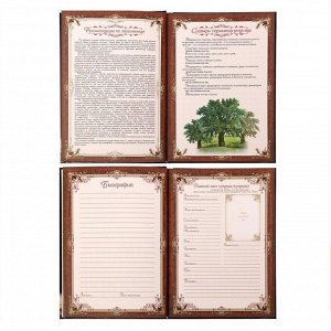 Родословная книга "Книга моей семьи" в шкатулке с деревом, 20 х 26 см