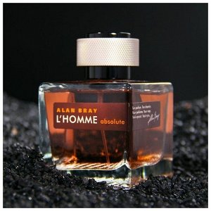 Туалетная вода мужская Alan Bray L'Homme Absolute Туалетная вода мужская, 100 мл