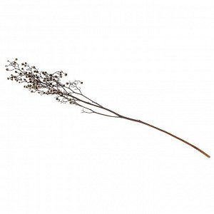 СИМА-ЛЕНД Сухие цветы «Молочай Миля» , 25 г, длина — 70 см, цвет белый