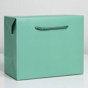 Пакет—коробка «Тиффани», 28 × 20 × 13 см      7303857