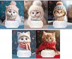 Тетрадь  12л линия &quot;Уютные котики&quot; (086197) Хатбер {Россия}