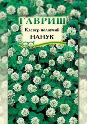 Газон Клевер Нанук (Код: 9262)