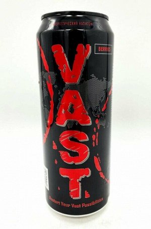 VAST Berries 450мл напиток энергетический ж/б (Арсений)