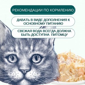 Wanpy Cat Пауч для кошек из курицы и гребешка 85 г