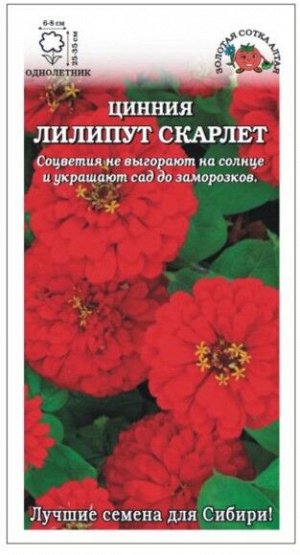 Цветы Цинния Лилипут Скарлет ЦВ/П (СОТКА) 0,2гр однолетник 25-35см