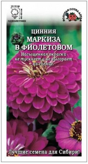 Цветы Цинния Маркиза в Фиолетовом ЦВ/П (СОТКА) 0,2гр однолетник 70-90см