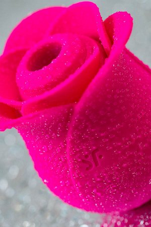 Вакуум-волновой стимулятор клитора Satisfyer Pro 2 Modern Blossom, силикон, розовый, 6,6 см