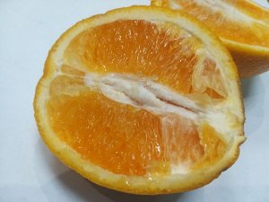 Апельсин (ЮАР)