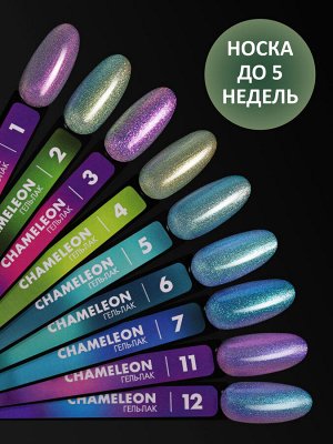 Гель-лак хамелеон (Gel polish CHAMELEON) #04, 8 ml