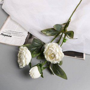 Цветы искусственные «Пион Эльза», h=64 см, d=10 см, белые