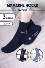 Носки Авиация мужские