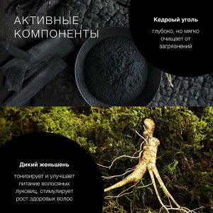 Мужской шампунь детокс для всех типов волос Natura Siberica Sauna & Sport 300 мл
