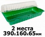Парник на подоконник 2 места (с КРЫШКОЙ) 39*16*6,5 см.