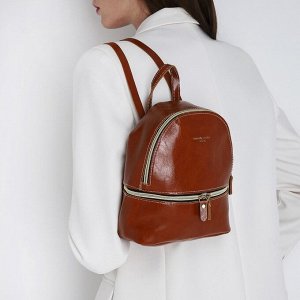 Мини-рюкзак из искусственной кожи на молнии, цвет коричневый