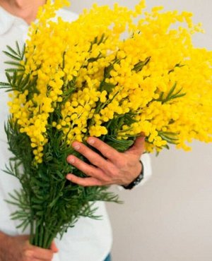 Цветок искусственный "Мимоза", h 80см, цв.желтый, 049, 110496