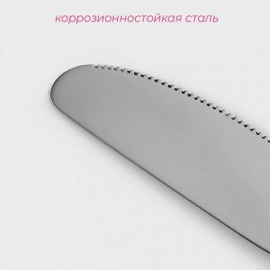 Нож столовый из нержавеющей стали Доляна «Соня», длина 20.5 см, толщина 2 мм, серебристый