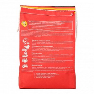 Семена газонной травы Sport Meister Gras, 1 кг
