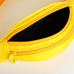 Поясная сумка на молнии, 2 кармана, цвет жёлтый