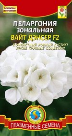 Пеларгония Вайт Дэнсер (Код: 91570)