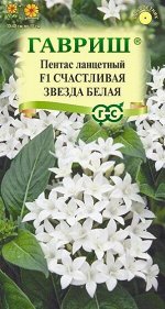 Пентас Счастливая звезда белая (Код: 91852)