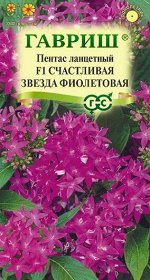Пентас Счастливая звезда фиолетовая (Код: 91854)