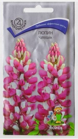 Люпин Чателайн (Код: 65761)