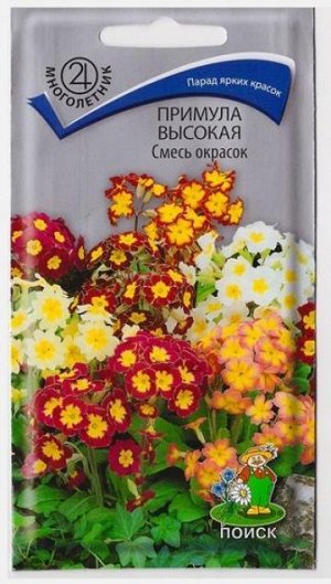 Примула Смесь окрасок высокая (Код: 65871)