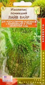 Изолепис поникший (камыш) Лайв Вайр (Код: 82428)