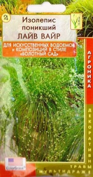Изолепис поникший (камыш) Лайв Вайр (Код: 82428)