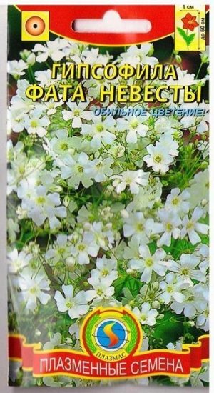 Гипсофила Фата невесты (Код: 75193)