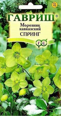 Морозник Спринг лимонно-зеленый (Код: 91850)