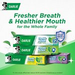 Darlie Double Action Toothpaste 80 g., Зубная паста &quot;Двойное действие&quot; 80 гр.