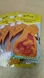 Тыква мускатная Капелька (5 шт)