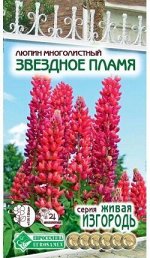 Люпин многолистный Звездное Пламя (0,5 гр)