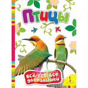 Книга для малышей "Птицы", Похожие товары