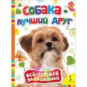 Книга для малышей "Собака - лучший друг", Похожие товары