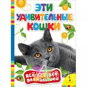 Книга для малышей "Эти удивительные кошки", Похожие товары